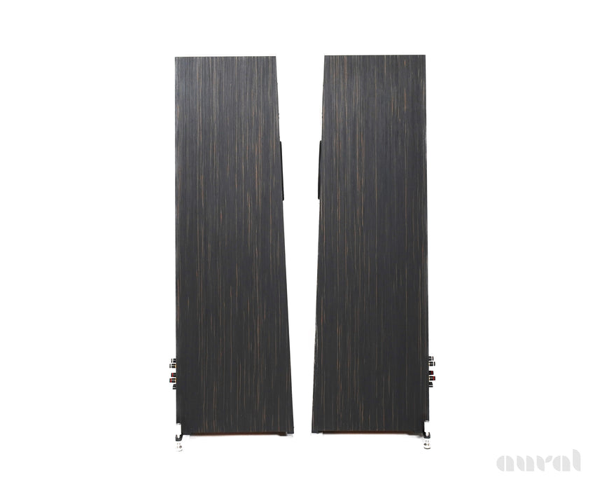 Blumenhofer Acoustics Tempesta 20 Mk2 // NEW / Horn Loaded Speakers