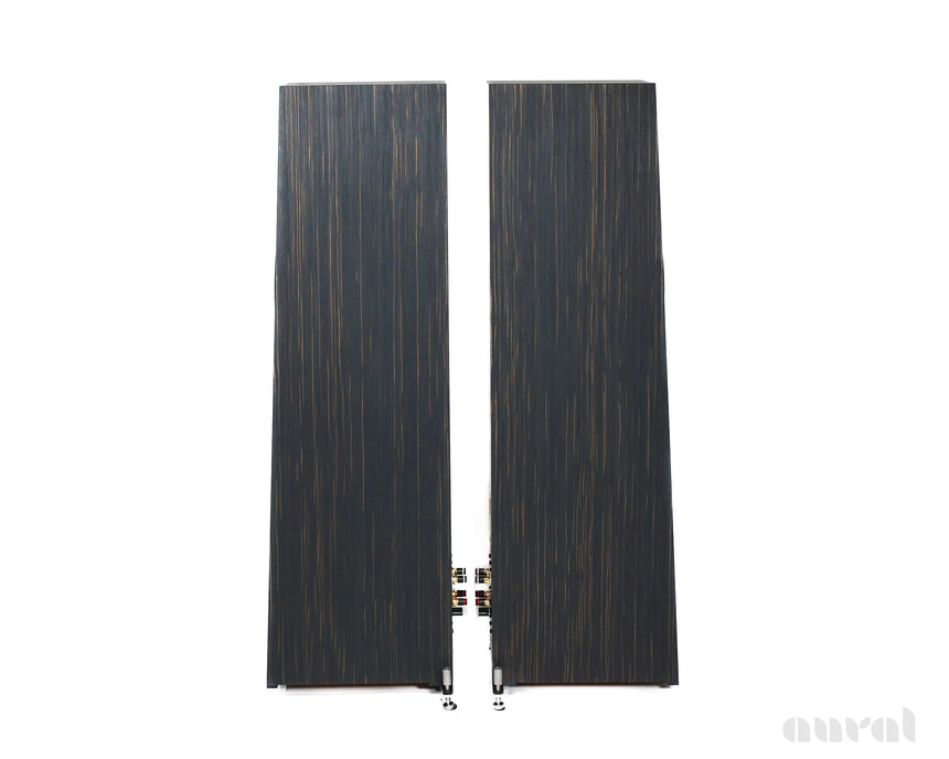 Blumenhofer Acoustics Tempesta 20 Mk2 // NEW / Horn Loaded Speakers
