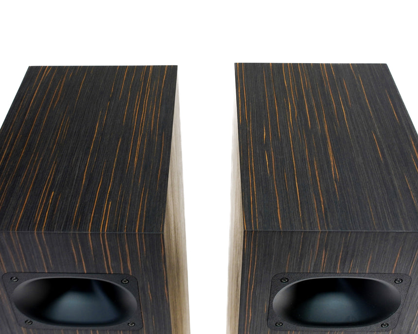 Blumenhofer Acoustics Tempesta 20 Mk2 // NEW / Horn Loaded Speakers