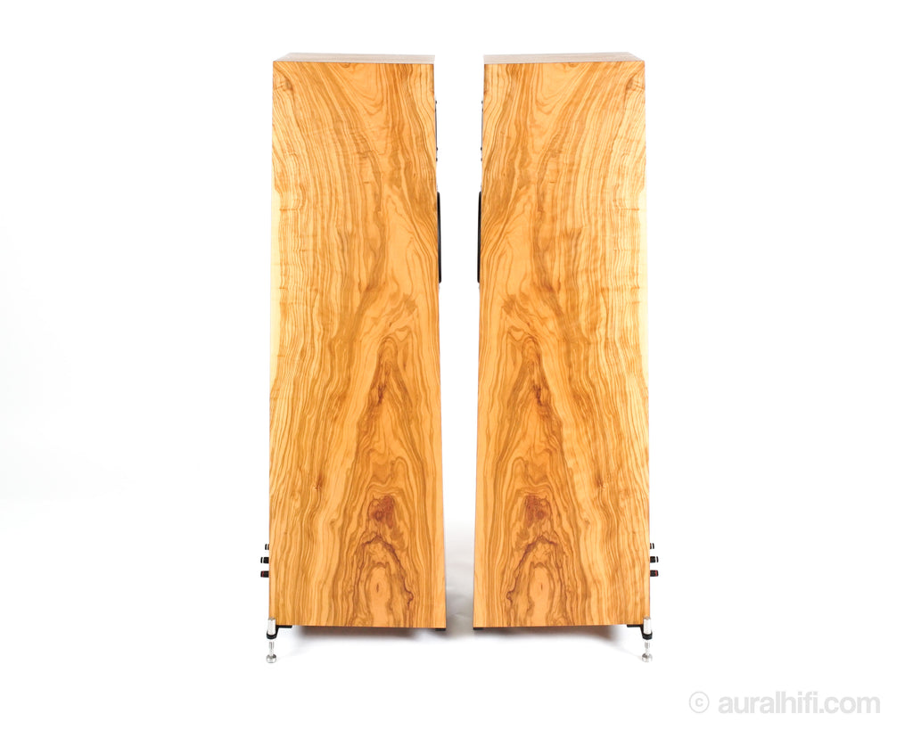 New / Blumenhofer Acoustics Tempesta 20 Mk2 // Speakers / Horn Loaded