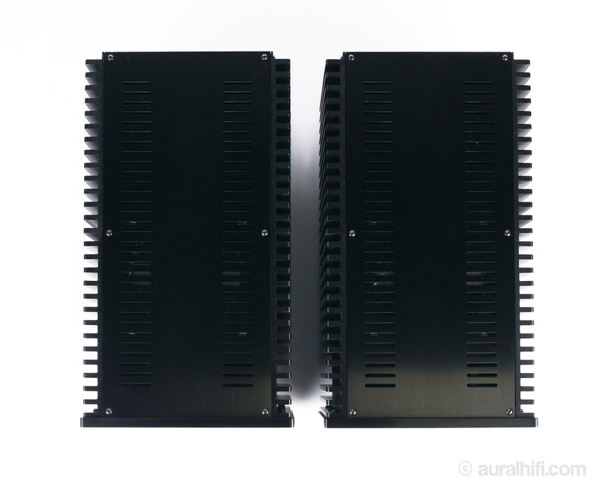 Vincent SP-T100 // Hybrid Amplifier Monoblocks