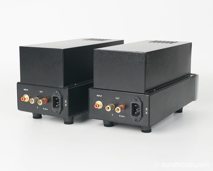 Antique Sound Lab Wave // Monoblock Tube Amplifier