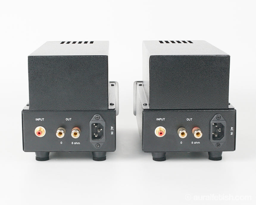 Antique Sound Lab Wave // Monoblock Tube Amplifier