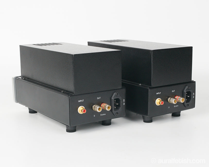Antique Sound Lab Wave // Monoblock Tube Amplifier