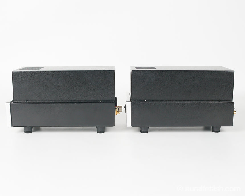 Antique Sound Lab Wave // Monoblock Tube Amplifier