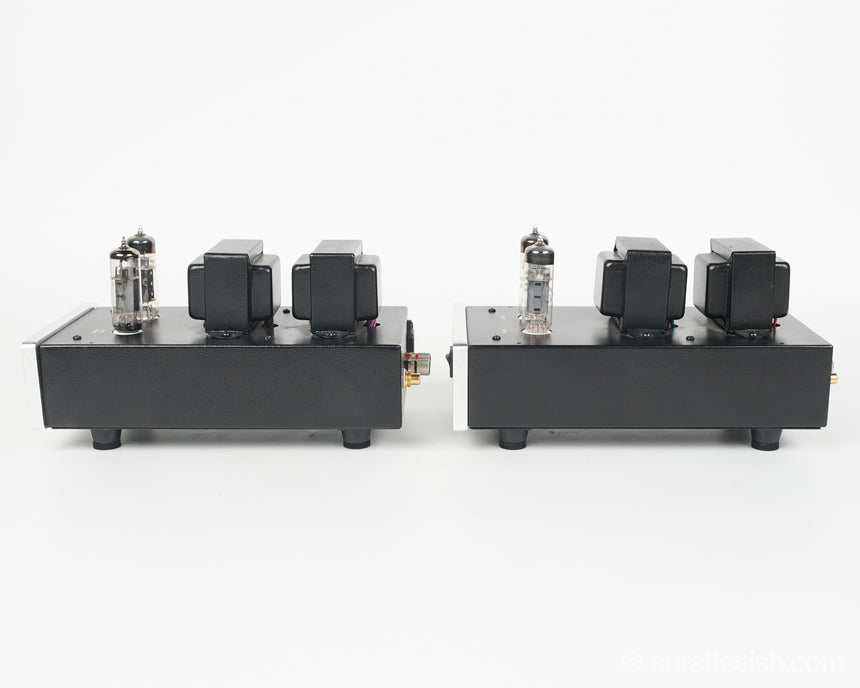 Antique Sound Lab Wave // Monoblock Tube Amplifier