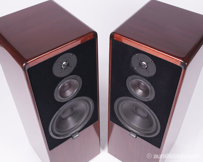 Canton CT-80 // Tower Speakers / Mahogany / Orig. Boxes