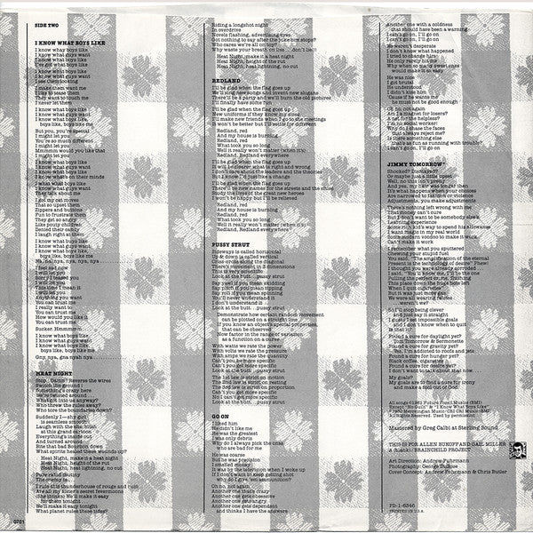 The Waitresses - Wasn't Tomorrow Wonderful? // Vinyl Record