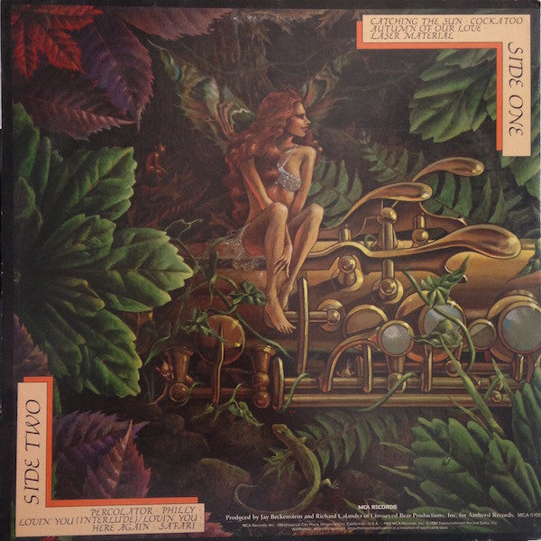 Spyro Gyra - Catching The Sun // Vinyl Record