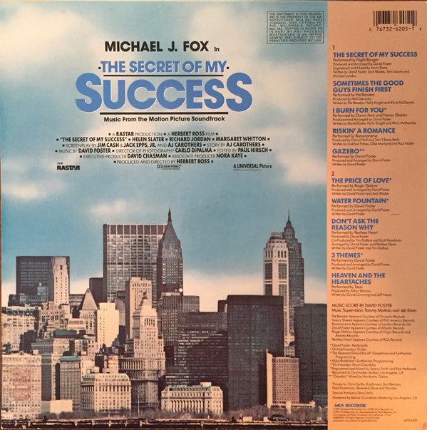Various - The Secret Of My Success - Music From The Motion Picture Soundtrack // Vinyl Record