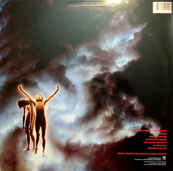 Roger Hodgson - In The Eye Of The Storm // Vinyl Record