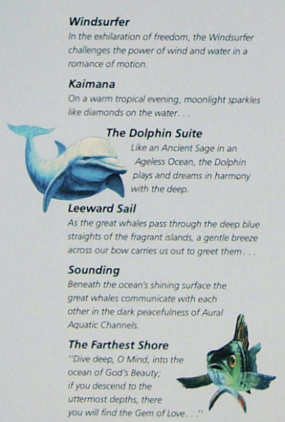 Steven Kindler - Dolphin Smiles // Vinyl Record