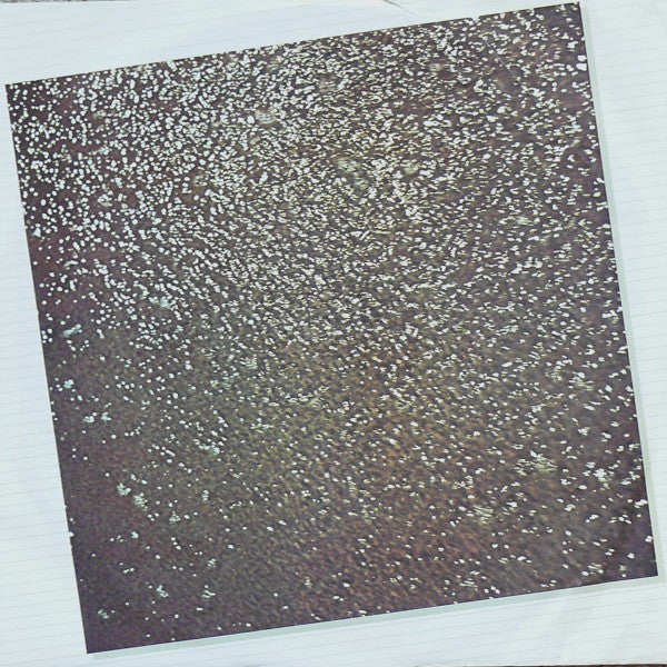 Spyro Gyra - Freetime // Vinyl Record