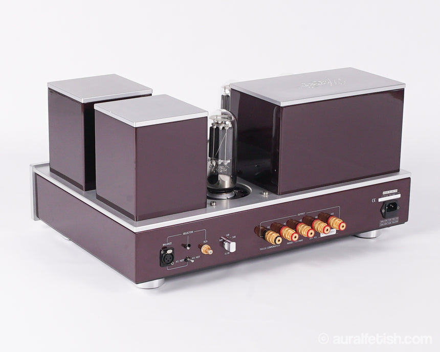 Triode TRX-M845 // Monster Single-Ended Monoblock Tube Amplifiers / Orig. Boxes