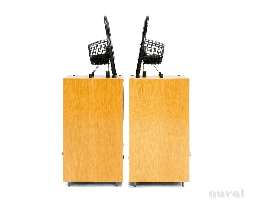 Alon Model 1 (Acarian Systems) // Vintage / Floorstanding Speakers