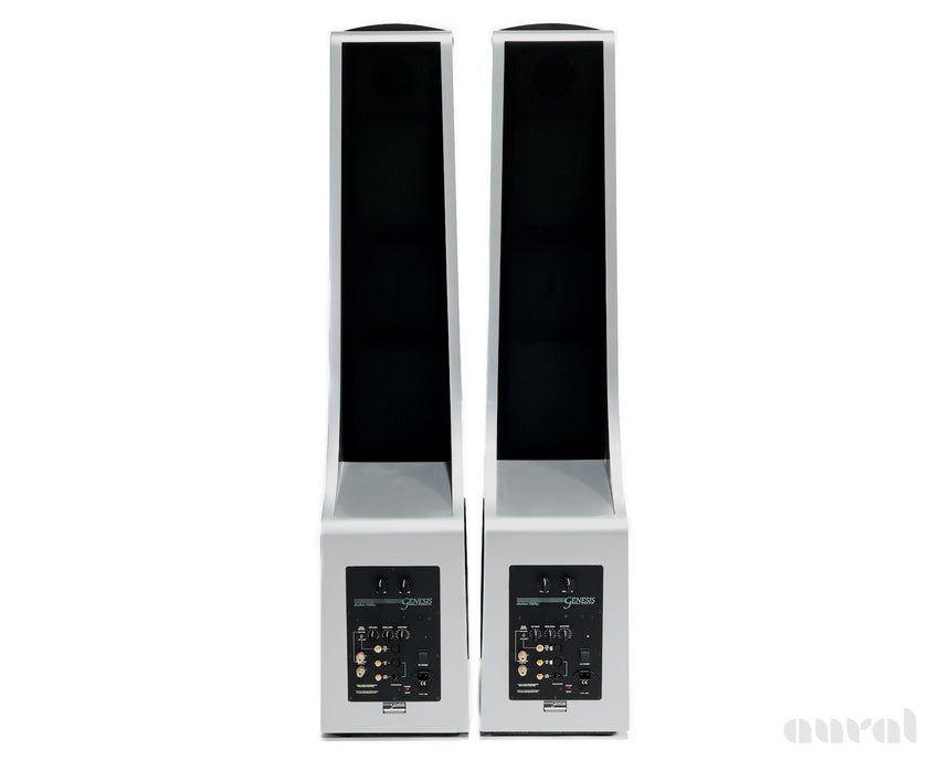 Genesis 6.1 Tower // Preowned / Dipole Speakers / Mercedes Anthracite and Porsche Arctic Silver