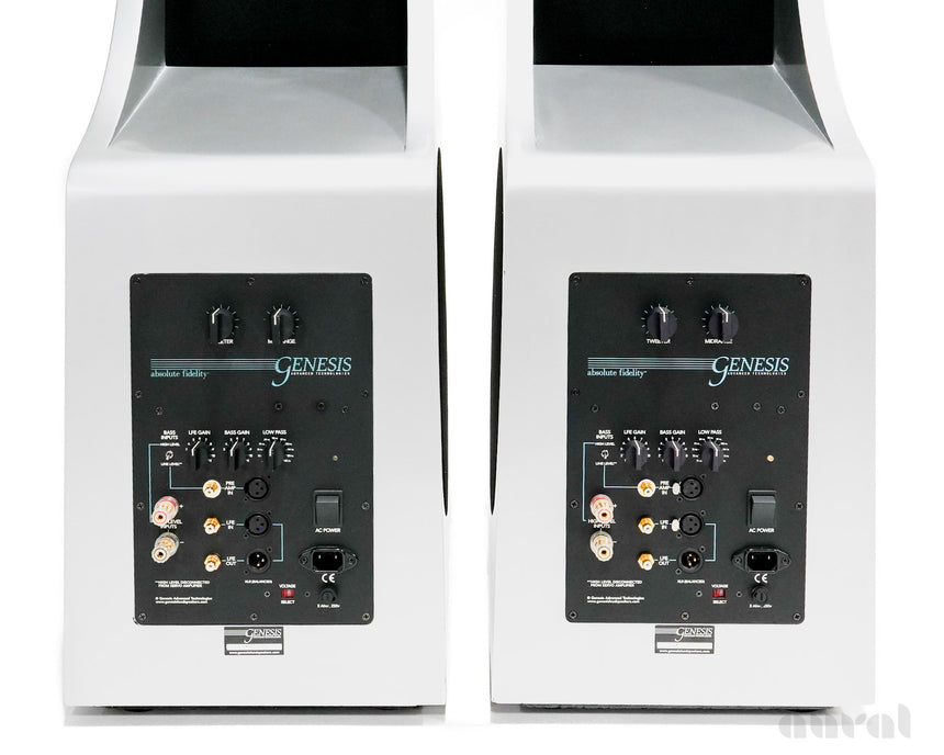 Genesis 6.1 Tower // Preowned / Dipole Speakers / Mercedes Anthracite and Porsche Arctic Silver