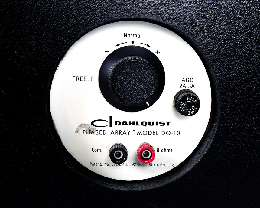 Vintage Dahlquist DQ-10 // Speakers / Aural Custom Restoration