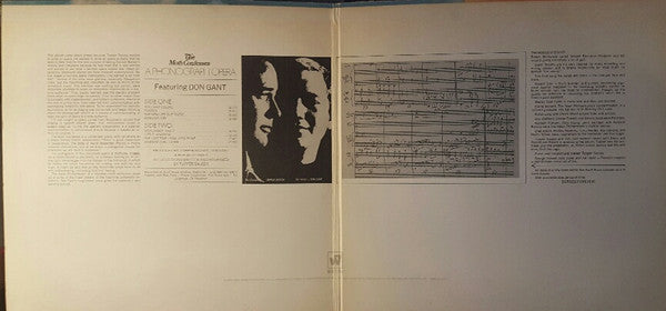 The Neon Philharmonic - The Moth Confesses // Vinyl Record