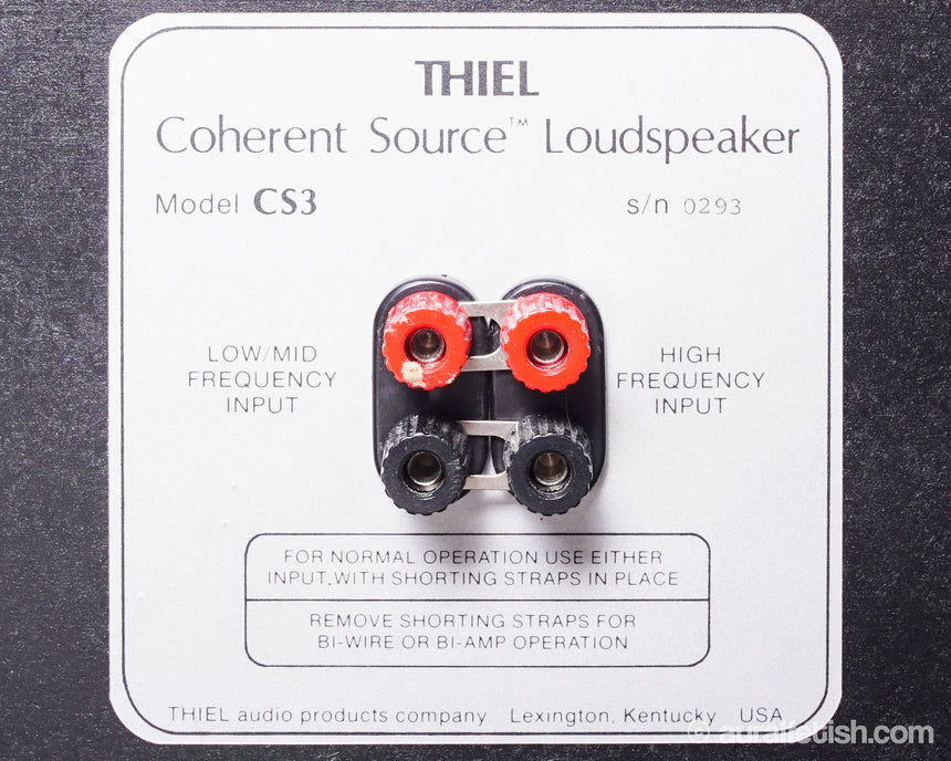 Vintage Thiel CS3 // Coherent Source Loudspeakers / Factory EQ
